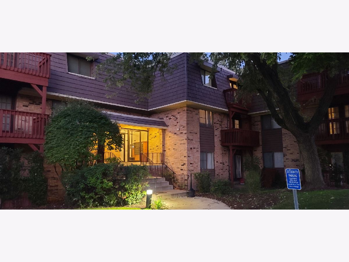 Condominiums Rented Acorn Woods Aurora Illinois, 1980 Selmarten