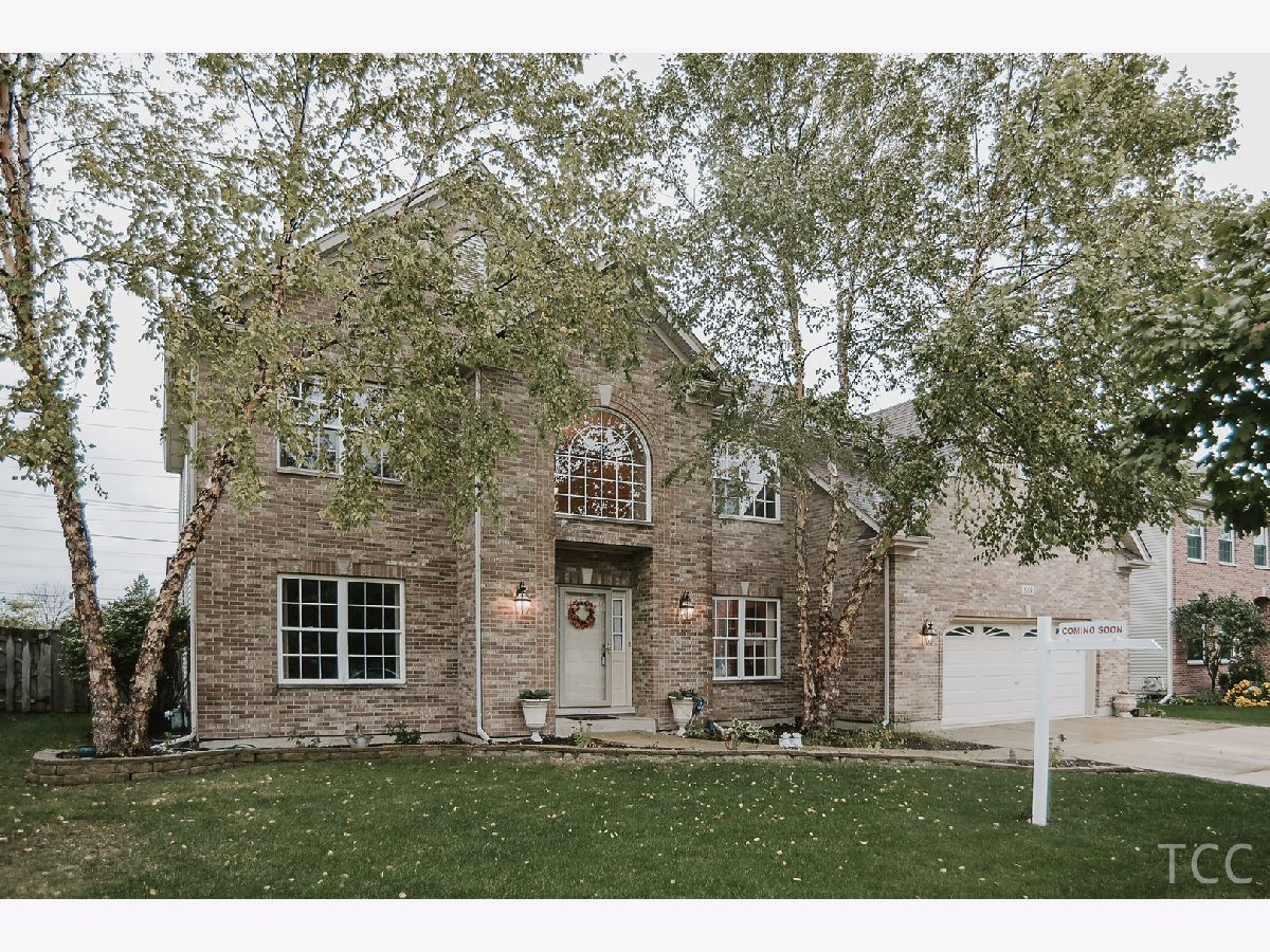 Homes Sold Brighton Meadows Oswego Illinois, 389 Essex
