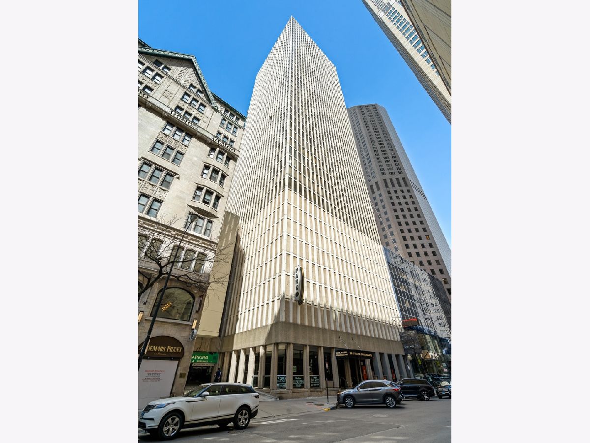 Condominiums Rented Walton Colonade Chicago Illinois, 100 Walton