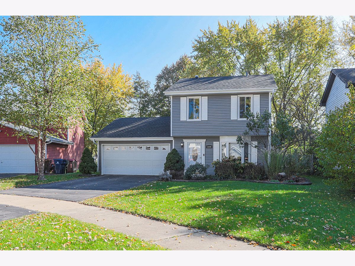 Homes & Condos & Townhomes Rented Spring Hill Naperville Illinois, 1138 Andover