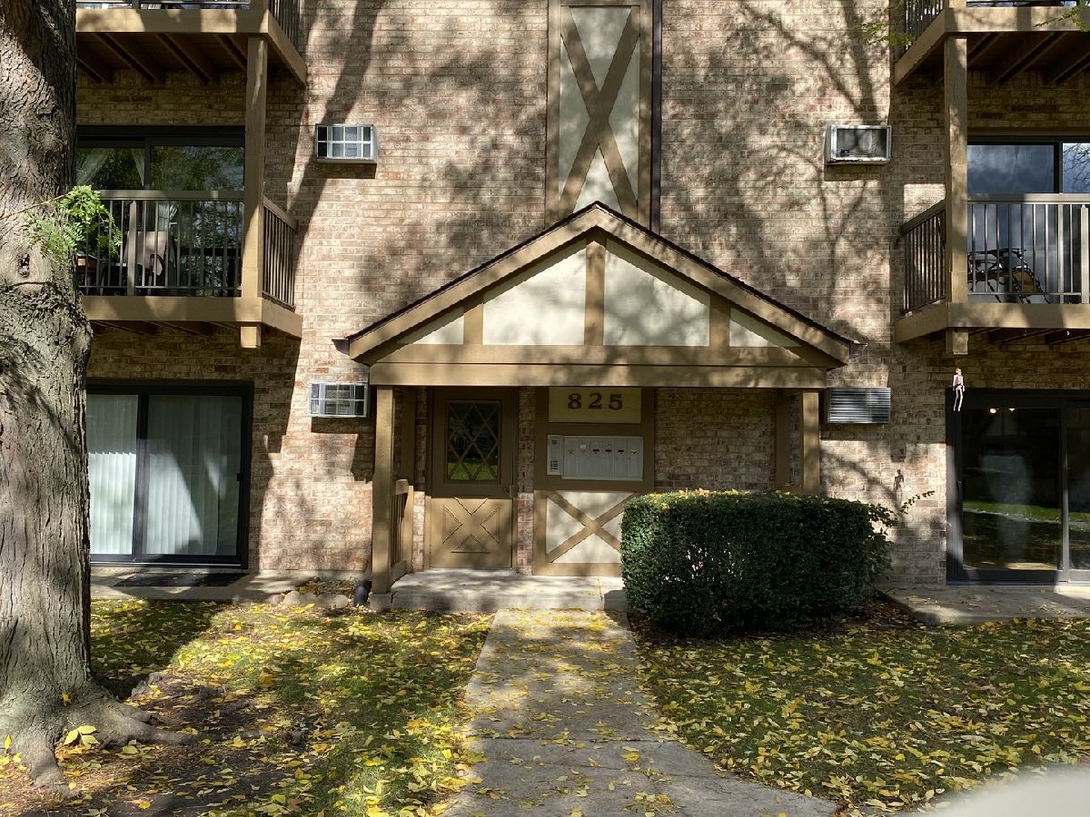 Condominiums Rented Church Creek Arlington Heights Illinois, 825 Dwyer
