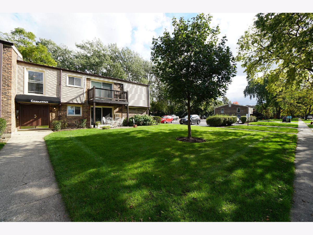 Condominiums Rented Georgetown Palatine Illinois, 337 Carter