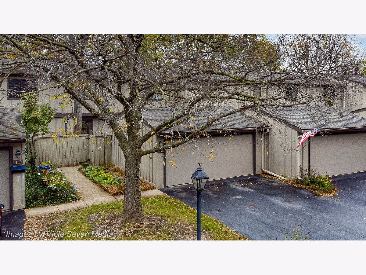 Townhomes Sold Tyler Bluff Elgin Illinois, 1167 Florimond