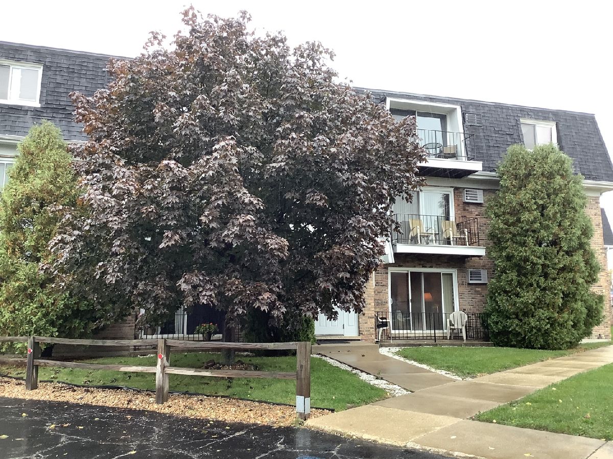 Condominiums Sold Ridge Station Chicago Ridge Illinois, 10330 Ridgeland