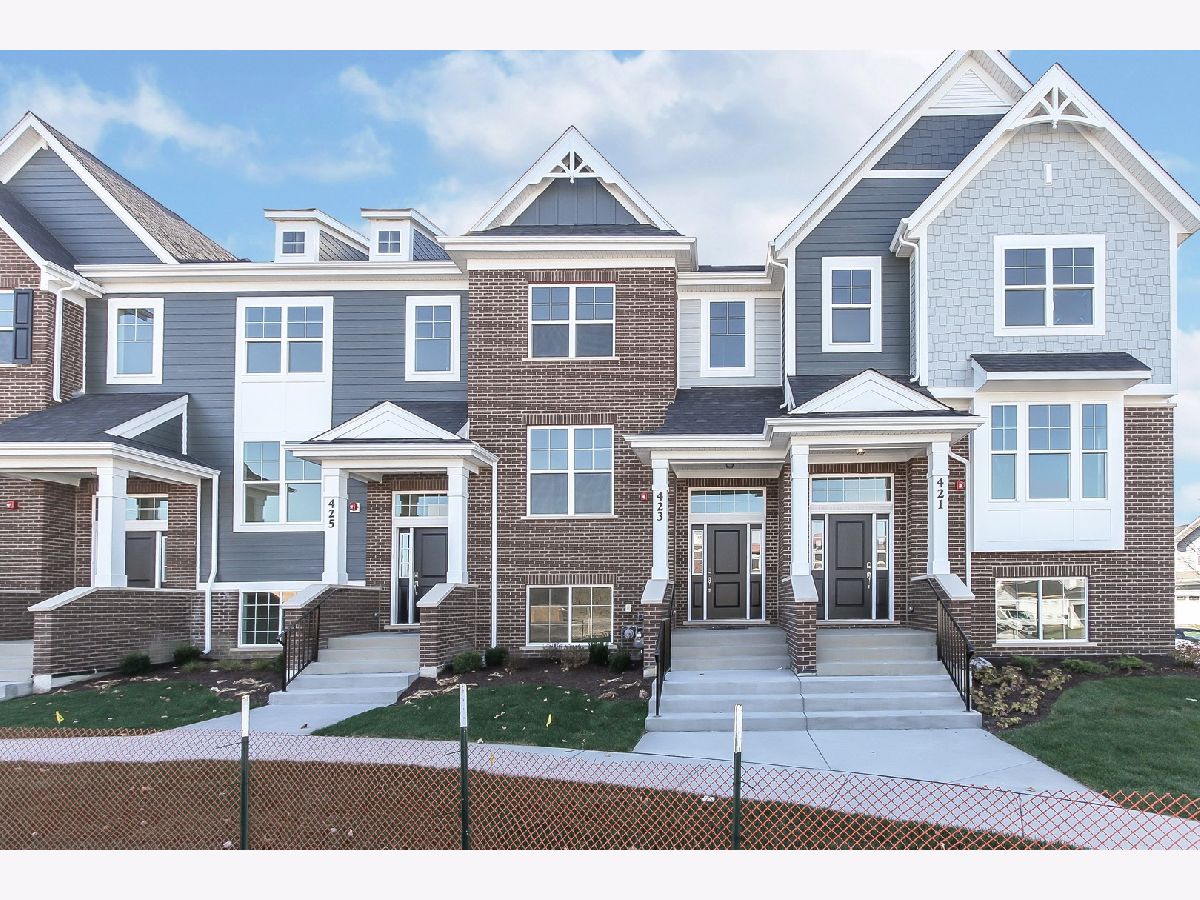 Condos & Townhomes & Homes Sold Mason Pointe La Grange Illinois, 448 Bluff Lot #13.02