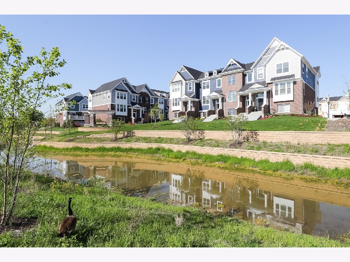 Condos & Townhomes & Homes Sold Mason Pointe La Grange Illinois, 444 Bluff Lot #13.04