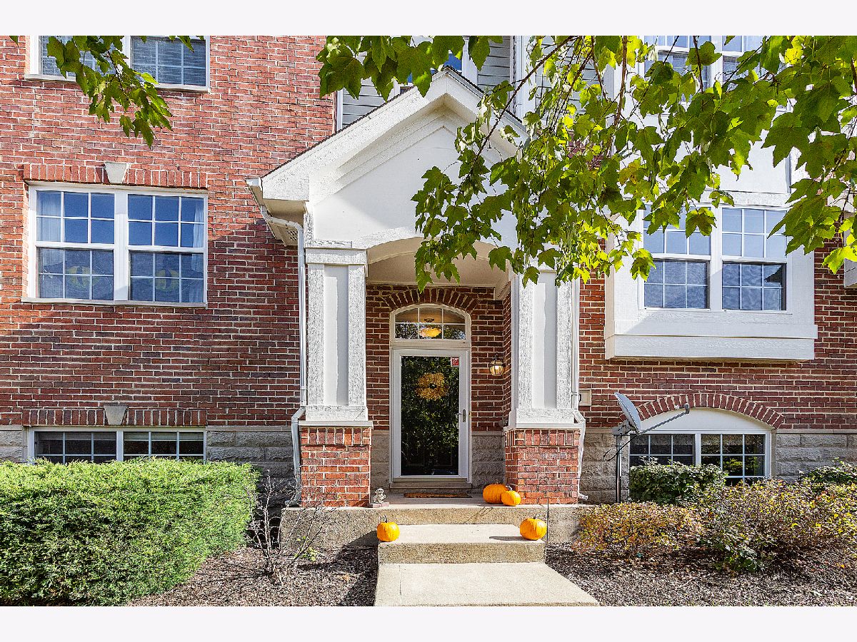 Townhomes & Condos Sold Singer Landing Lemont Illinois, 40 Grace