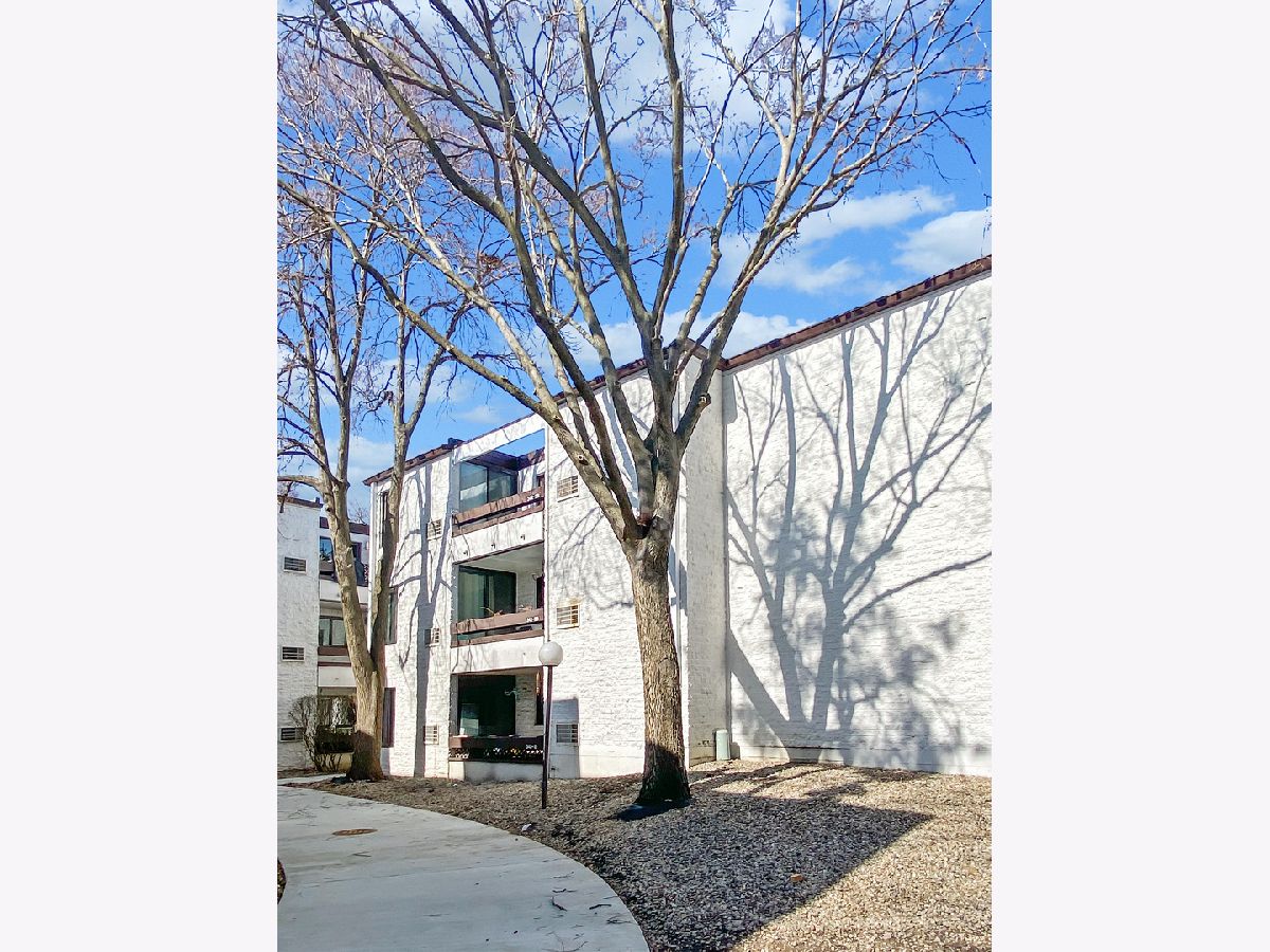 Condos & Townhomes Rented Courtyards Of Arlington Arlington Heights Illinois, 342 Miner