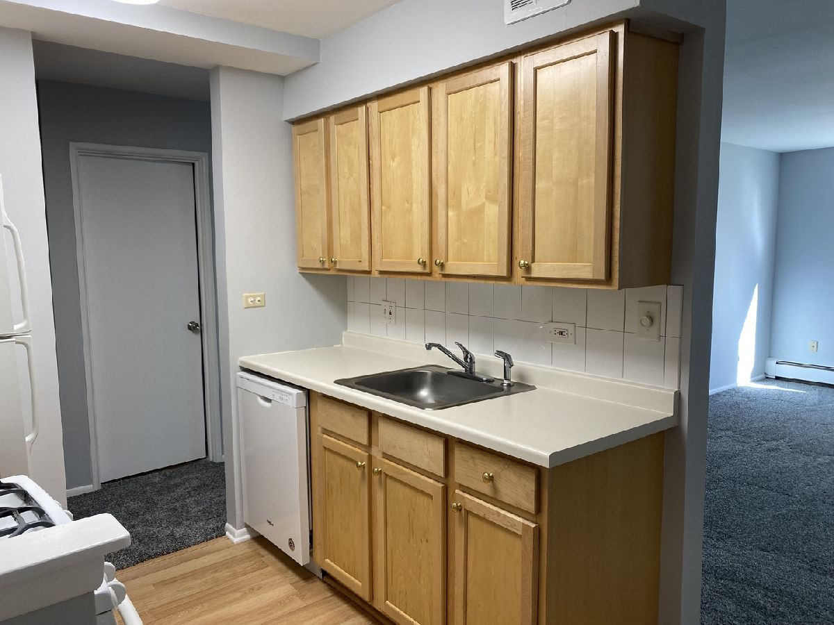 1375 Rebecca Drive, Hoffman Estates, Illinois 60169 MLS 11266180