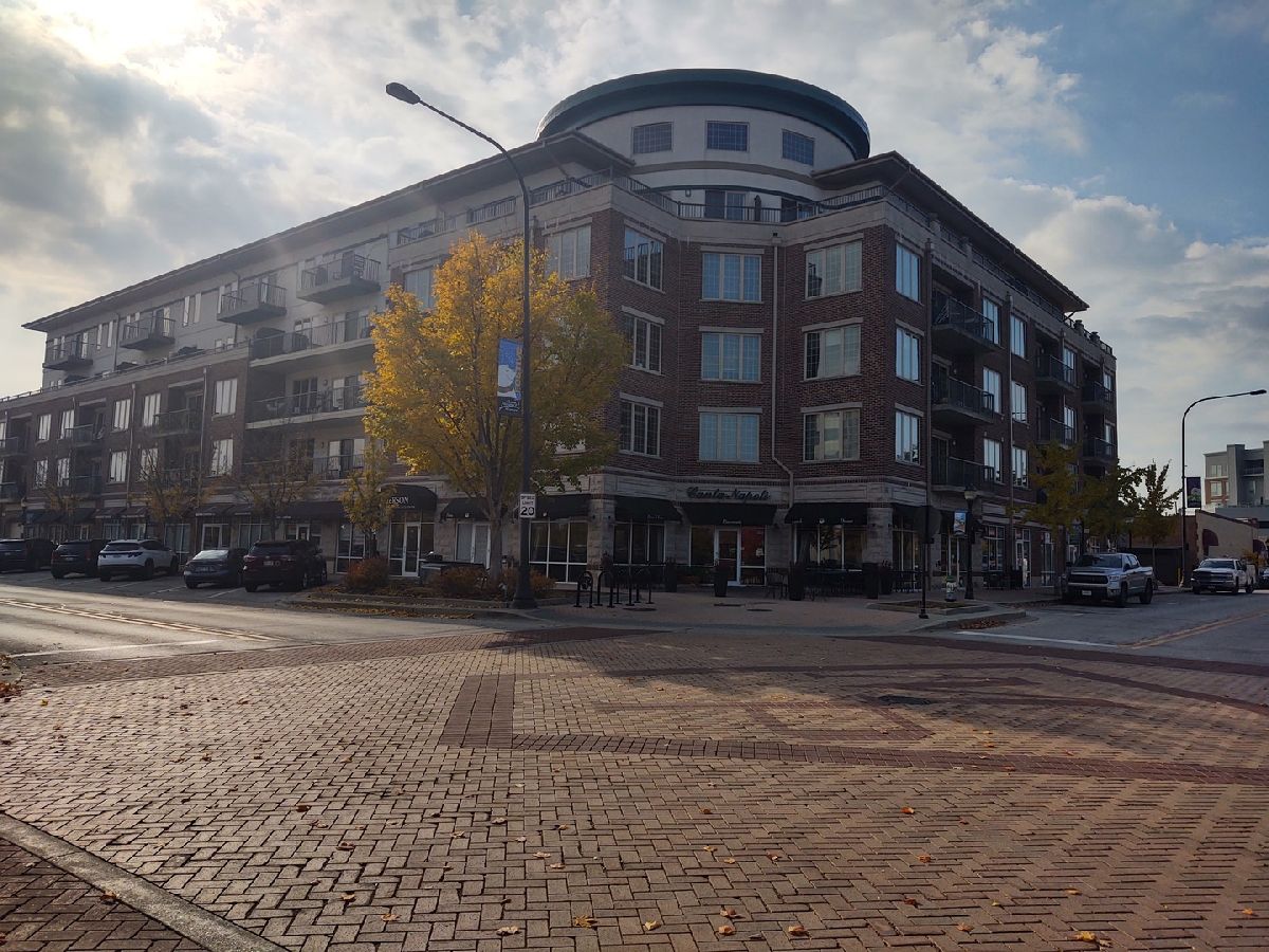 Condominiums Rented The Emerson At Village Centre Mount Prospect Illinois, 100 Emerson