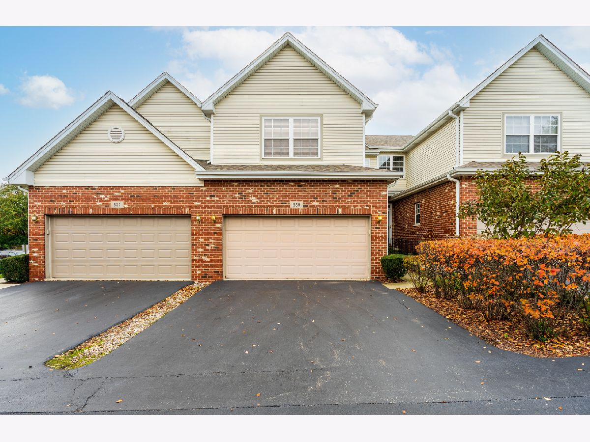 Townhomes & Homes Sold Boughton Ridge Bolingbrook Illinois, 539 Goodwin