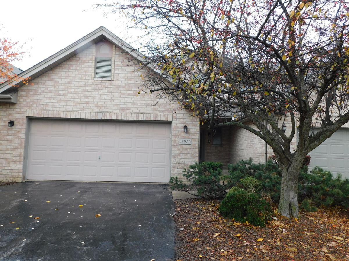 Homes & Townhomes Sold Avondale Meadows Tinley Park Illinois, 17929 Nielsen