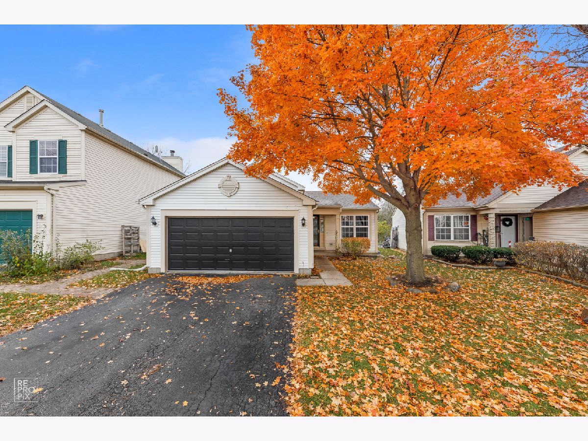 Homes Rented Deer Point Trails Hainesville Illinois, 219 Big Horn