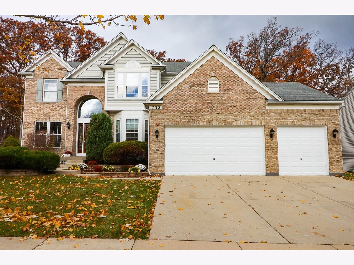 Homes Sold Buckingham Woods Streamwood Illinois, 732 Blue Ridge