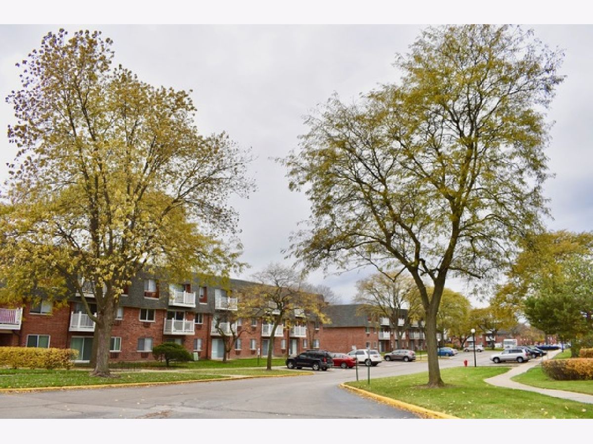 Condominiums Rented The Terrace Of Elk Grove Village Elk Grove Village Illinois, 904 Ridge
