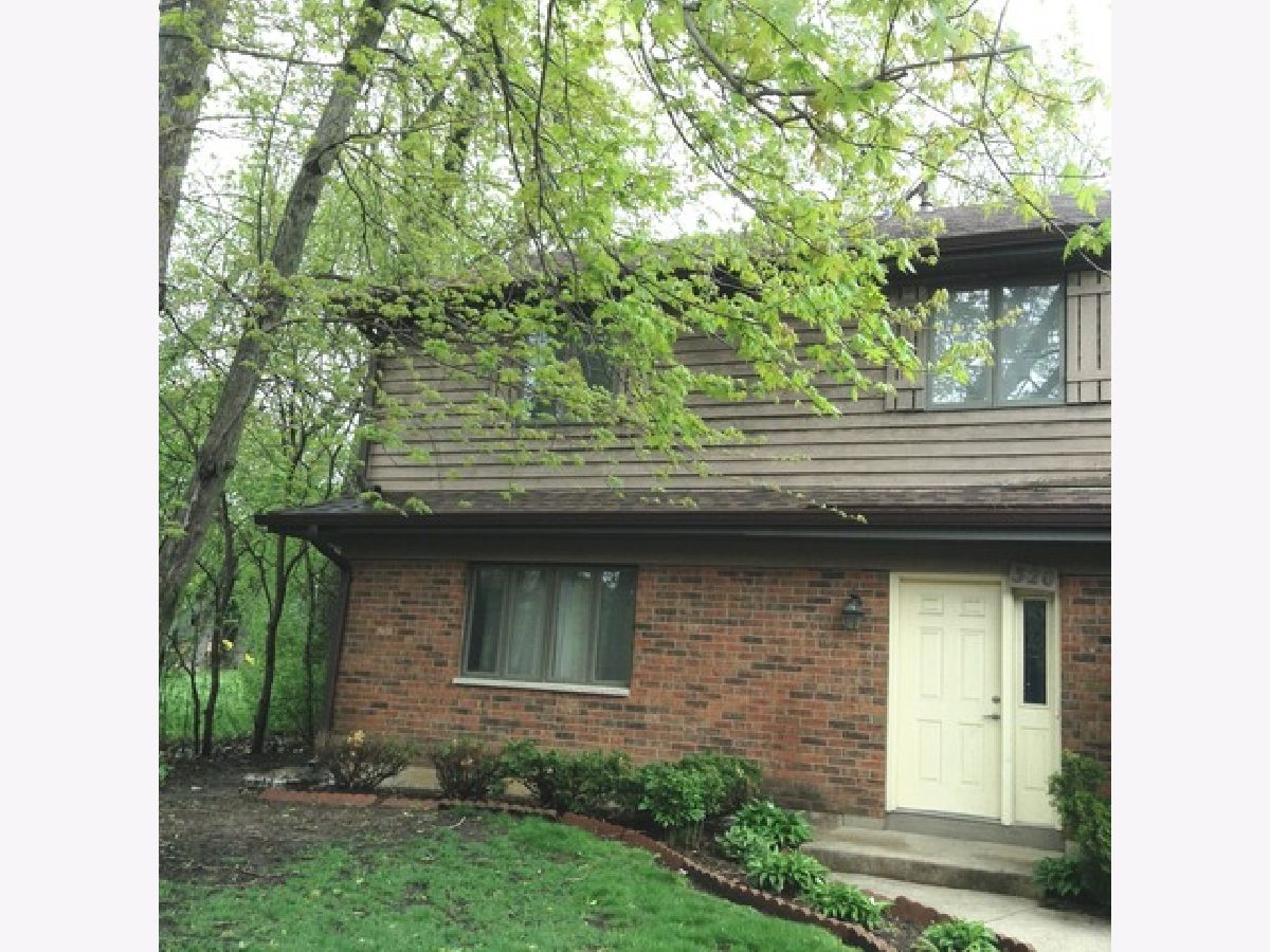Homes Rented Randall Ridge Elgin Illinois, 320 Airlite