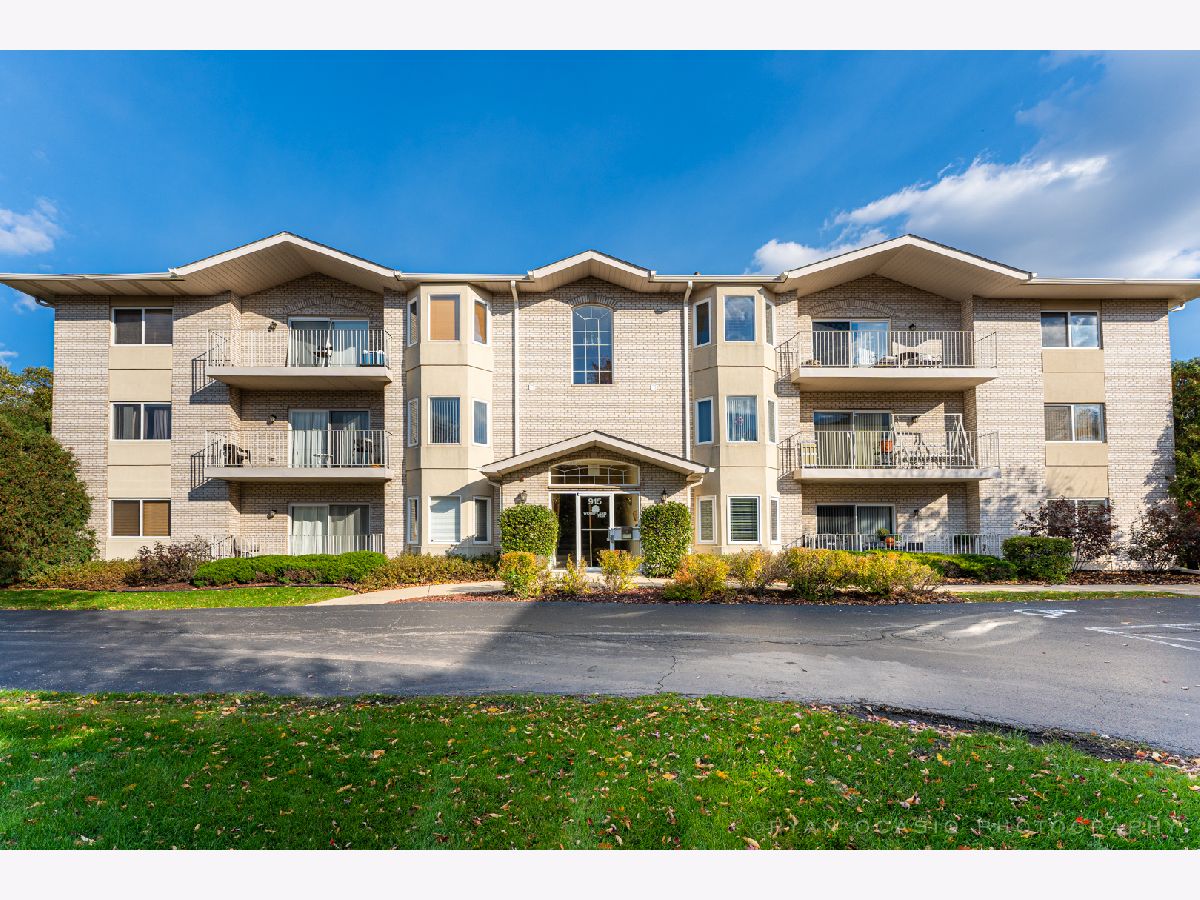 Condos & Townhomes Rented Woodland Park Estates Naperville Illinois, 915 Elderberry