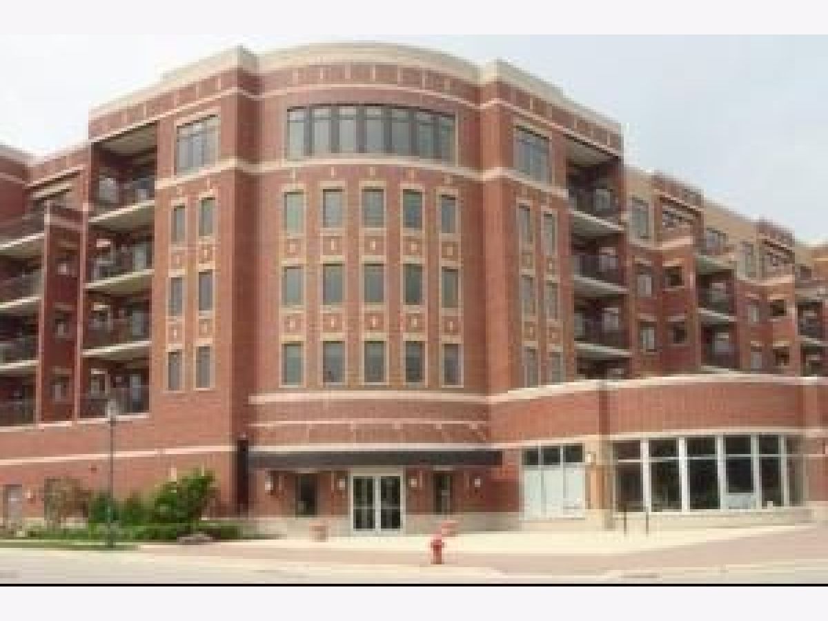 Condominiums Rented Park Street Crossing Roselle Illinois, 225 Main