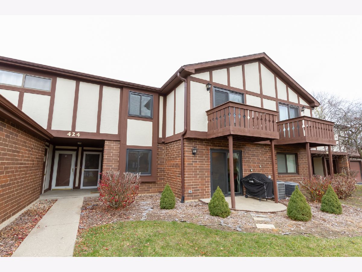 Townhomes & Condos & Homes Sold Brandywine Crystal Lake Illinois, 424 Brandy