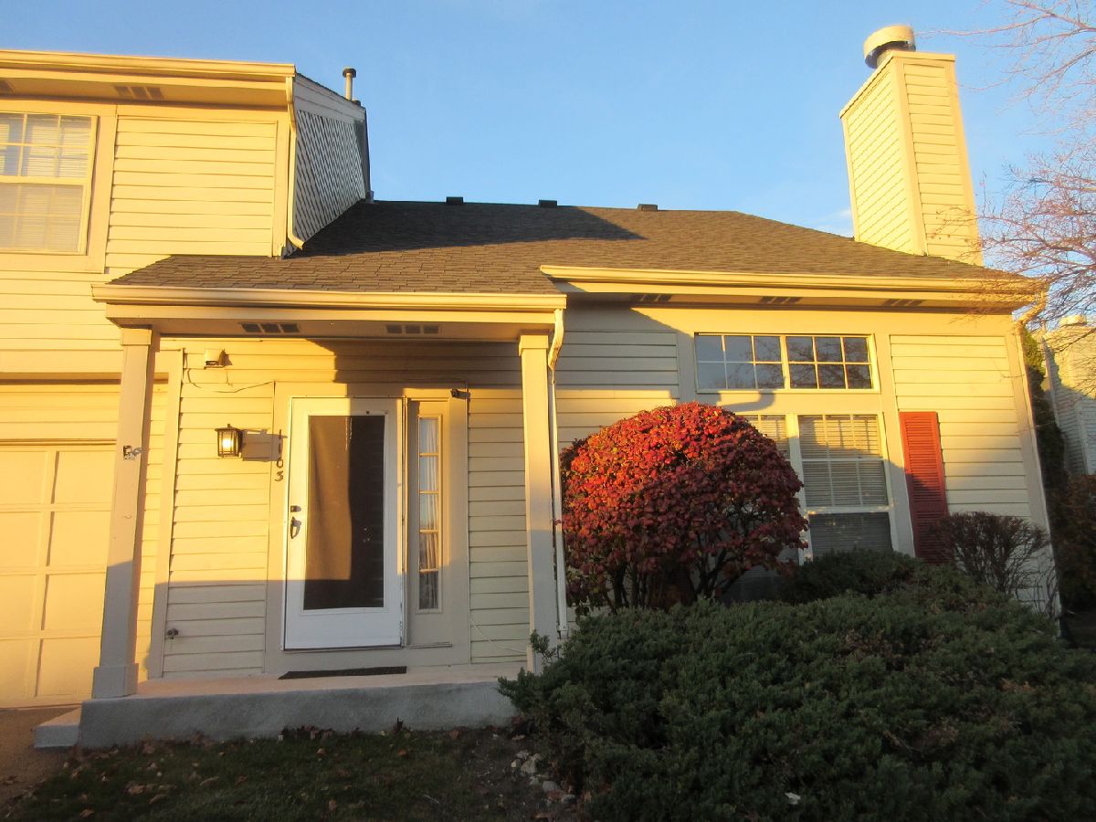 Townhomes Rented Knollwood Of Palatine Palatine Illinois, 1103 Knollwood