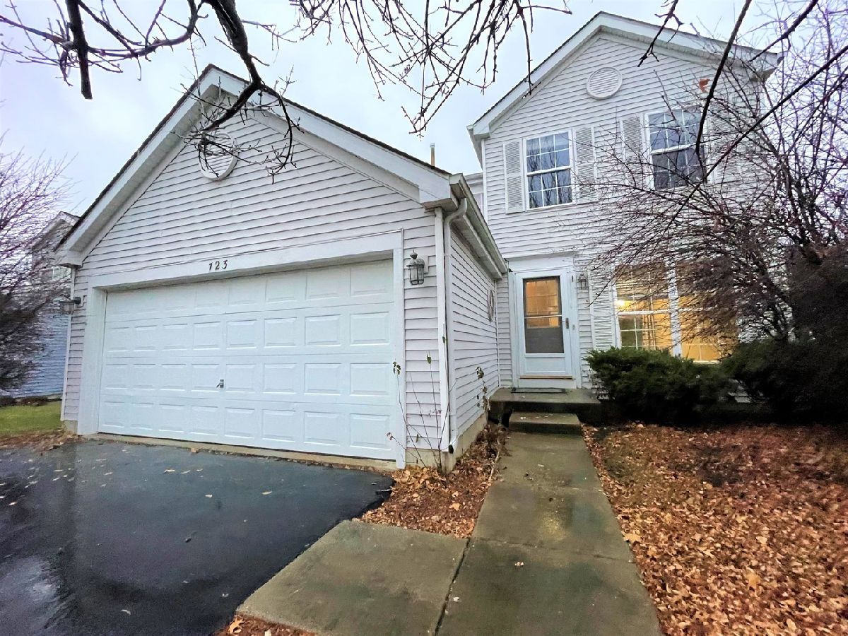 Homes & Condos & Townhomes Sold Springwood Joliet Illinois, 723 Springwood