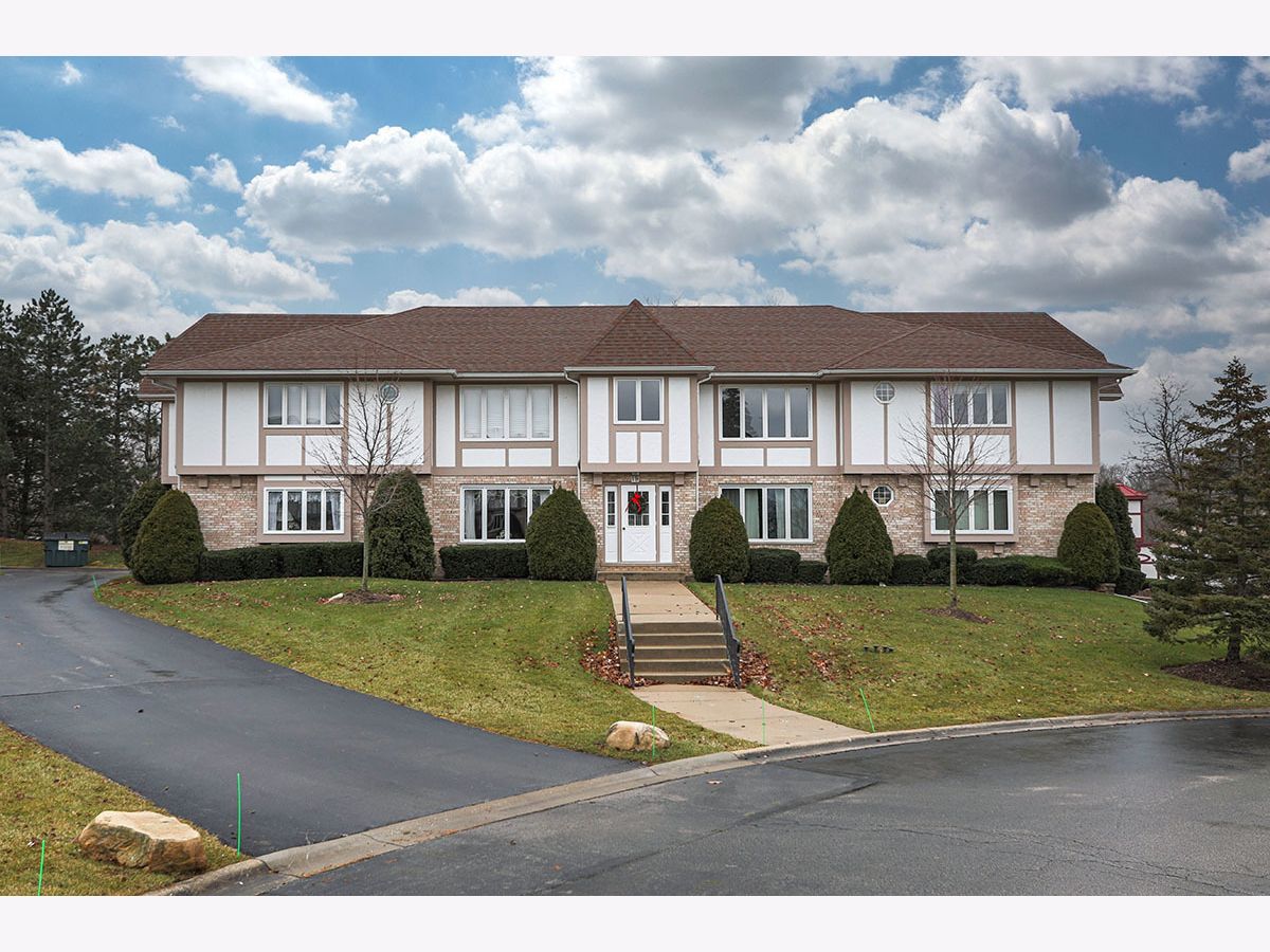 Condominiums Sold Edelweiss On The Lake Palos Park Illinois, 19 Saint Moritz