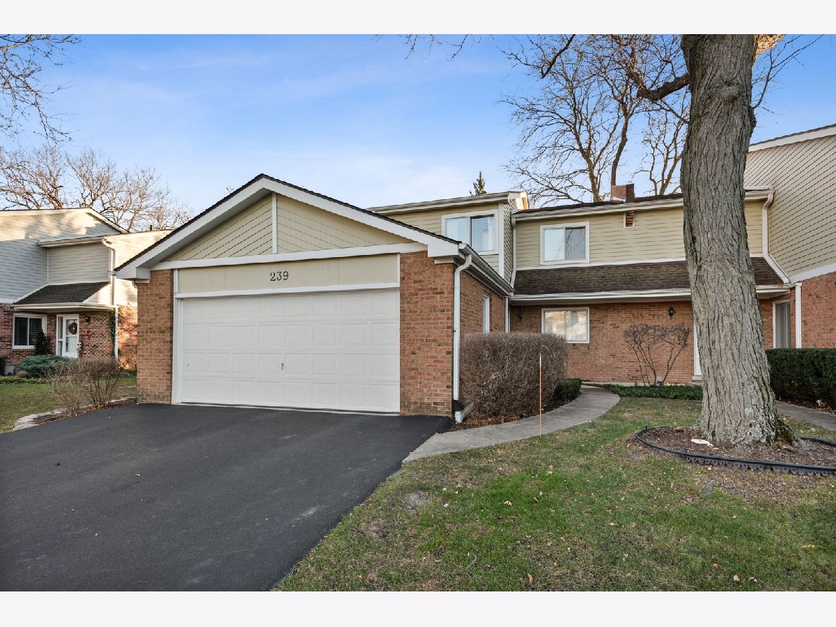 Townhomes Sold Golfview Commons Palatine Illinois, 239 Golfview