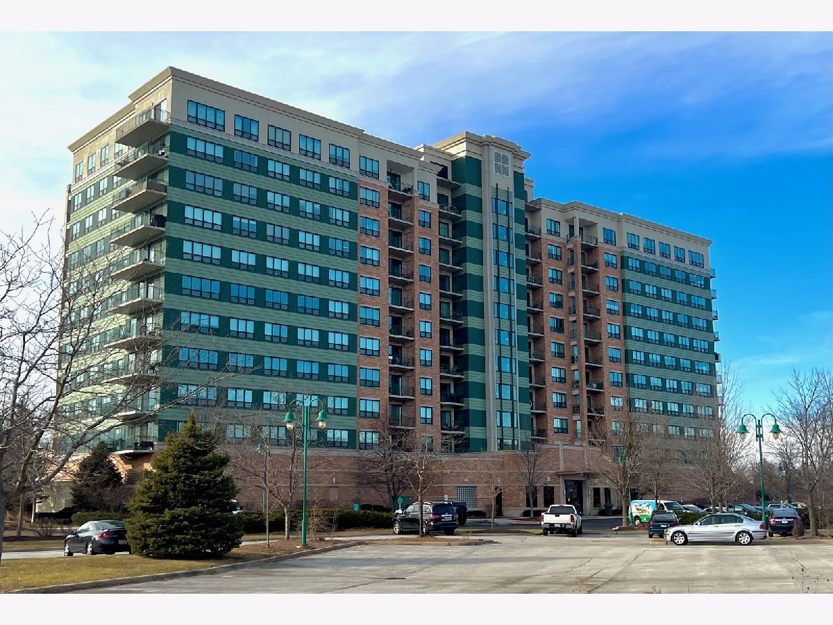 Homes & Condos & Townhomes Rented Seven Bridges Woodridge Illinois, 6420 Double Eagle