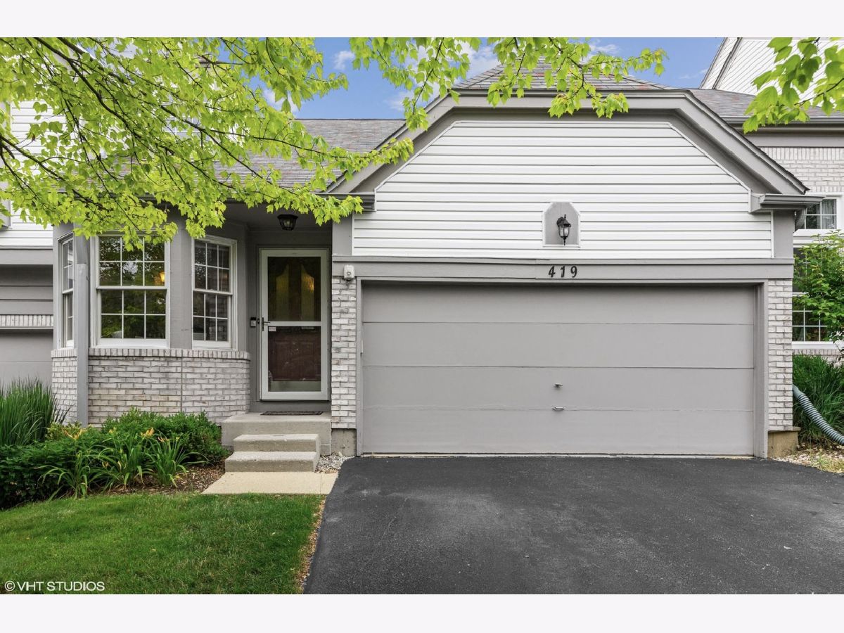 Townhomes & Homes Rented Orleans Naperville Illinois, 419 Orleans