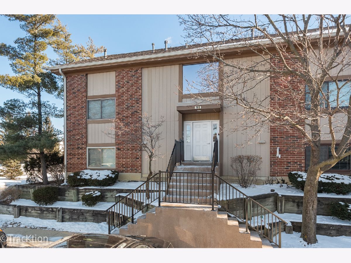 Condos & Townhomes Sold Lofty Condos Bartlett Illinois, 399 Wilmington