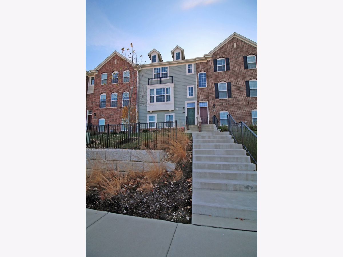 Townhomes & Homes Rented Pleasant Square Schaumburg Illinois, 11 Bethel