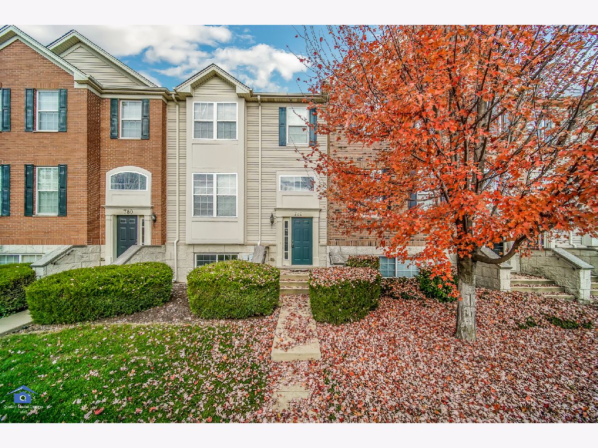 Townhomes & Homes Rented Castle Creek Bartlett Illinois, 782 Thornbury