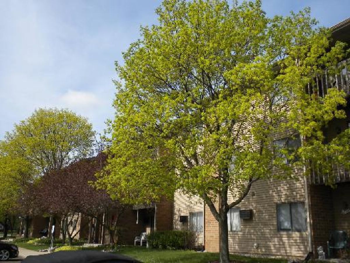 Condominiums Rented Virginia Road Condominiums Crystal Lake Illinois, 621 Virginia