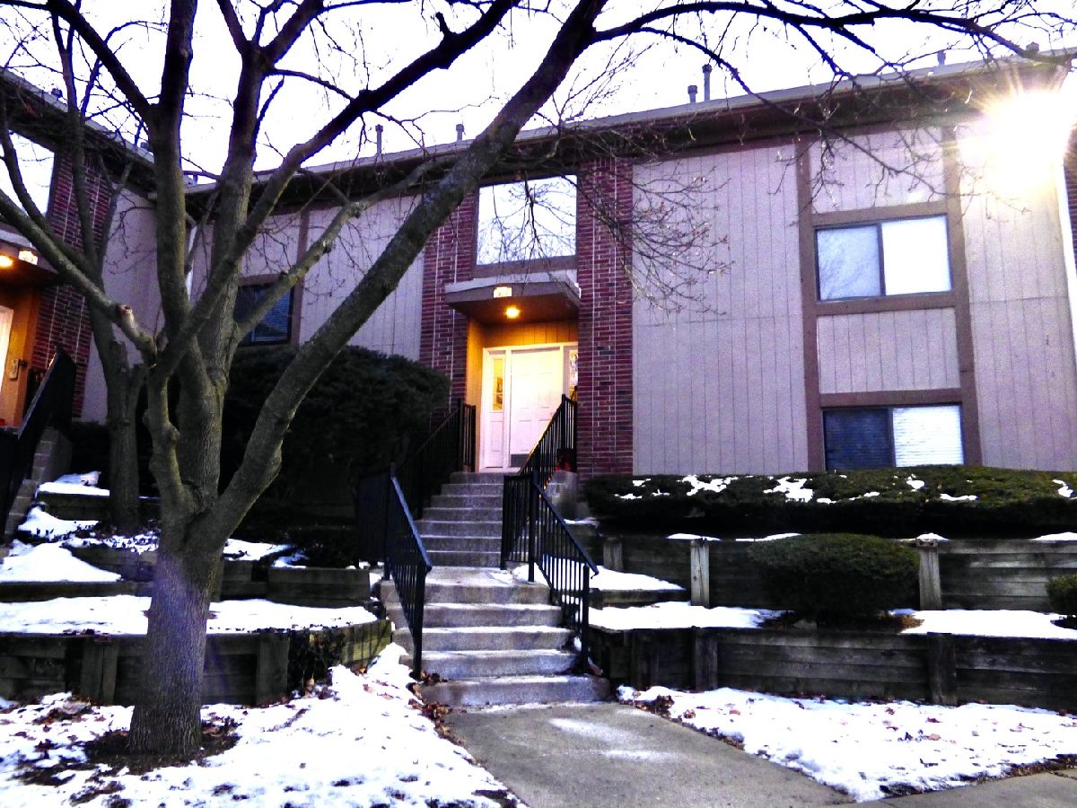 Condos & Townhomes Sold Lofty Condos Bartlett Illinois, 371 Wilmington