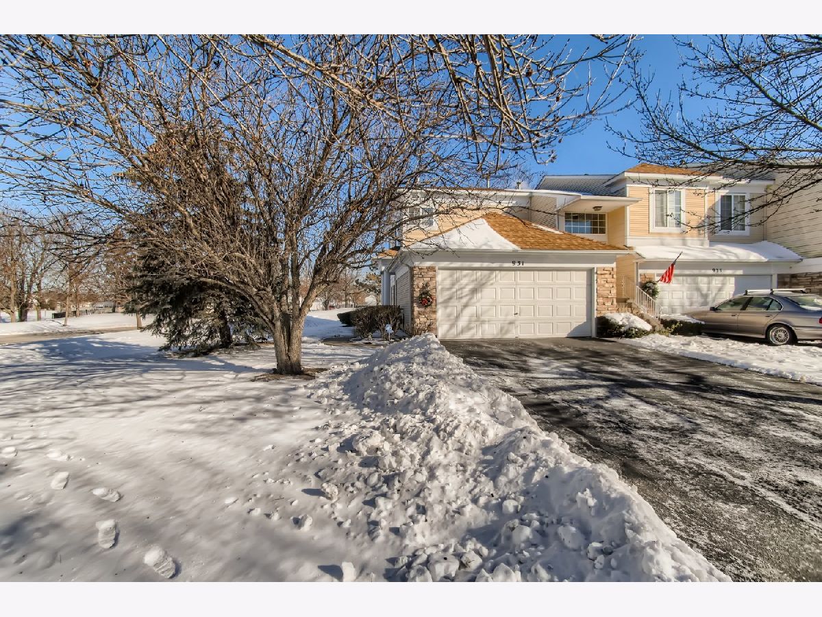 Townhomes & Condos Sold Sierra Ridge Elgin Illinois, 931 Mesa