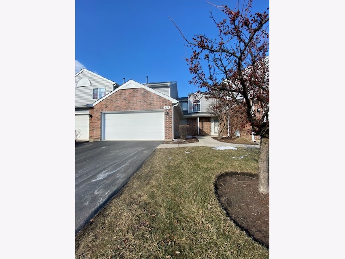 Townhomes & Condos & Homes Sold Pine Ridge Carol Stream Illinois, 539 Canterbury