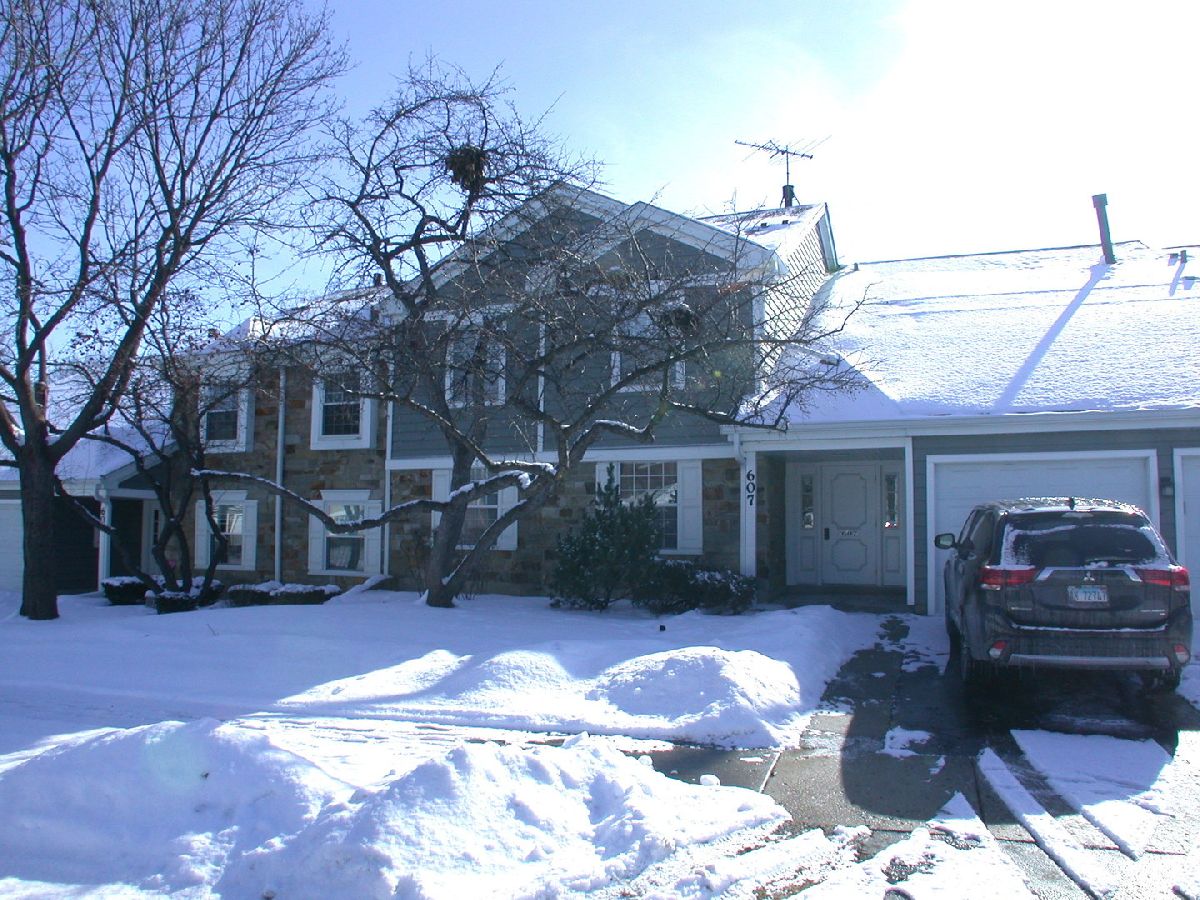 Condos & Townhomes Rented Gatewood Schaumburg Illinois, 607 Berkley