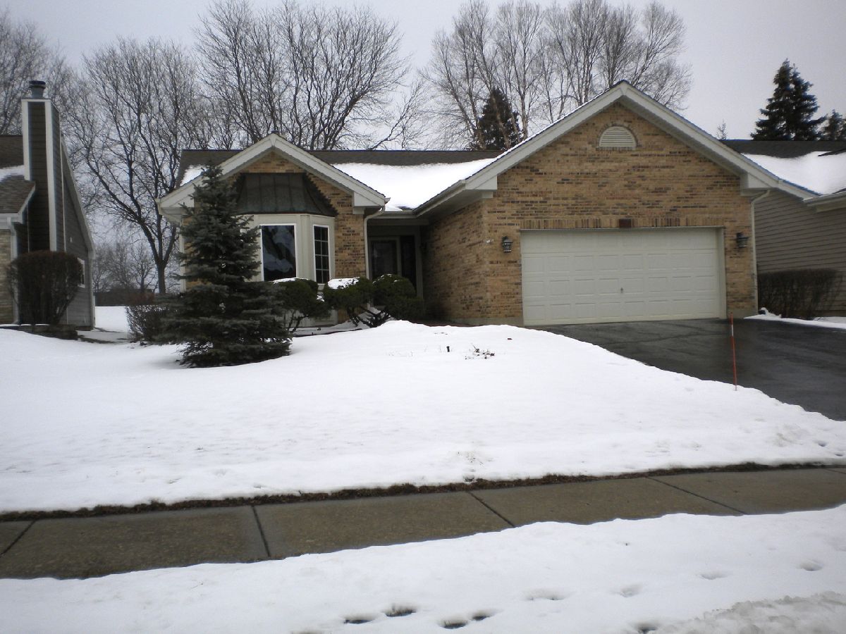Homes & Condos & Townhomes Sold Bartlett On The Green Bartlett Illinois, 585 Rose