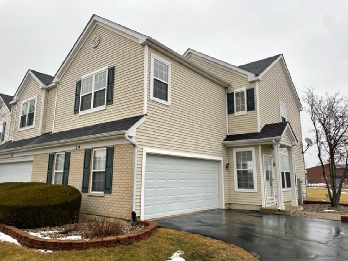 Townhomes & Condos & Homes Rented Walnut Trails Shorewood Illinois, 234 Parkside