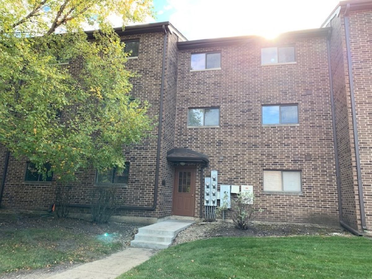 Condominiums Rented The Trails At Abbeywood Lisle Illinois, 2234 Abbeywood