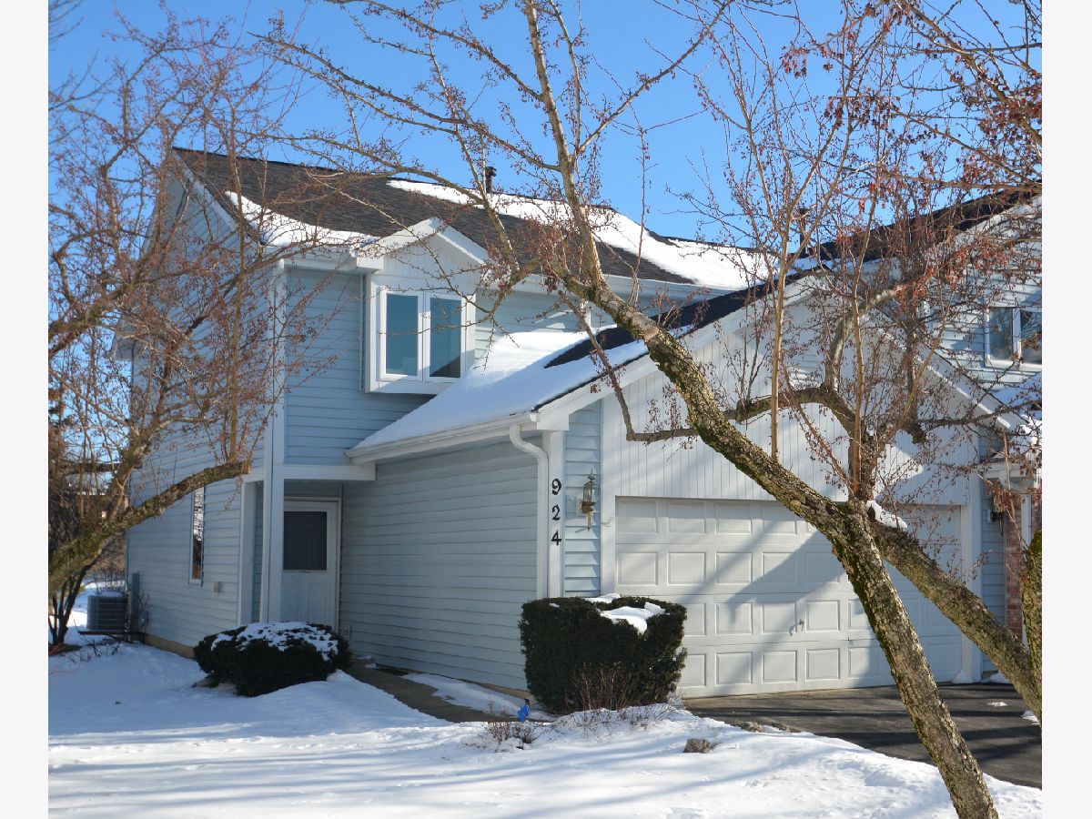 Townhomes & Condos Sold Carlton Court Westmont Illinois, 924 Noel