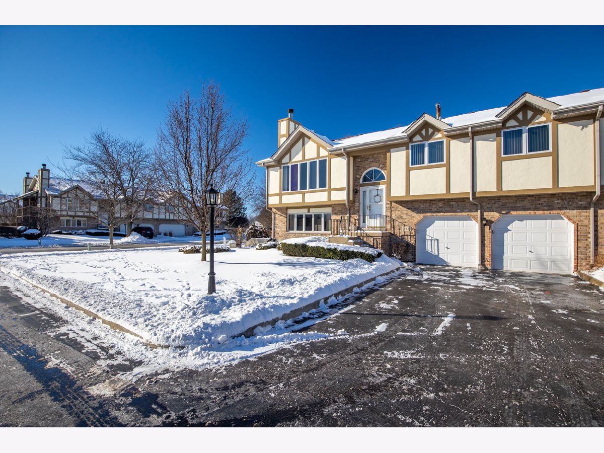 Townhomes & Condos Sold Eagles Nest Tinley Park Illinois, 6732 Eagle