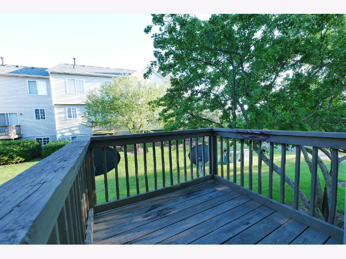 260 Timber Trails Boulevard, Gilberts, Illinois 60136 MLS 11324644