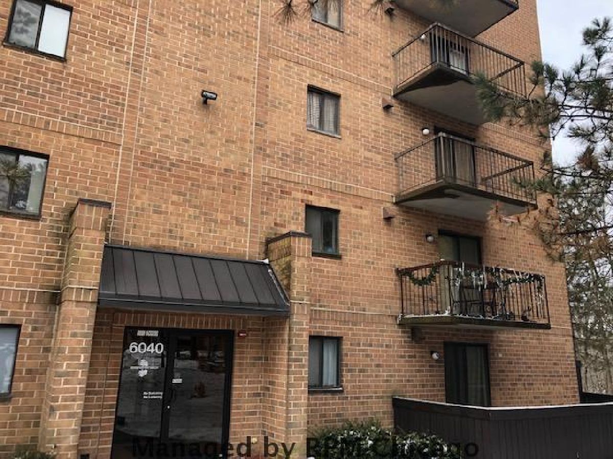 Condos & Townhomes & Homes Sold Edgewater Walk Tinley Park Illinois, 6040 Lake Bluff