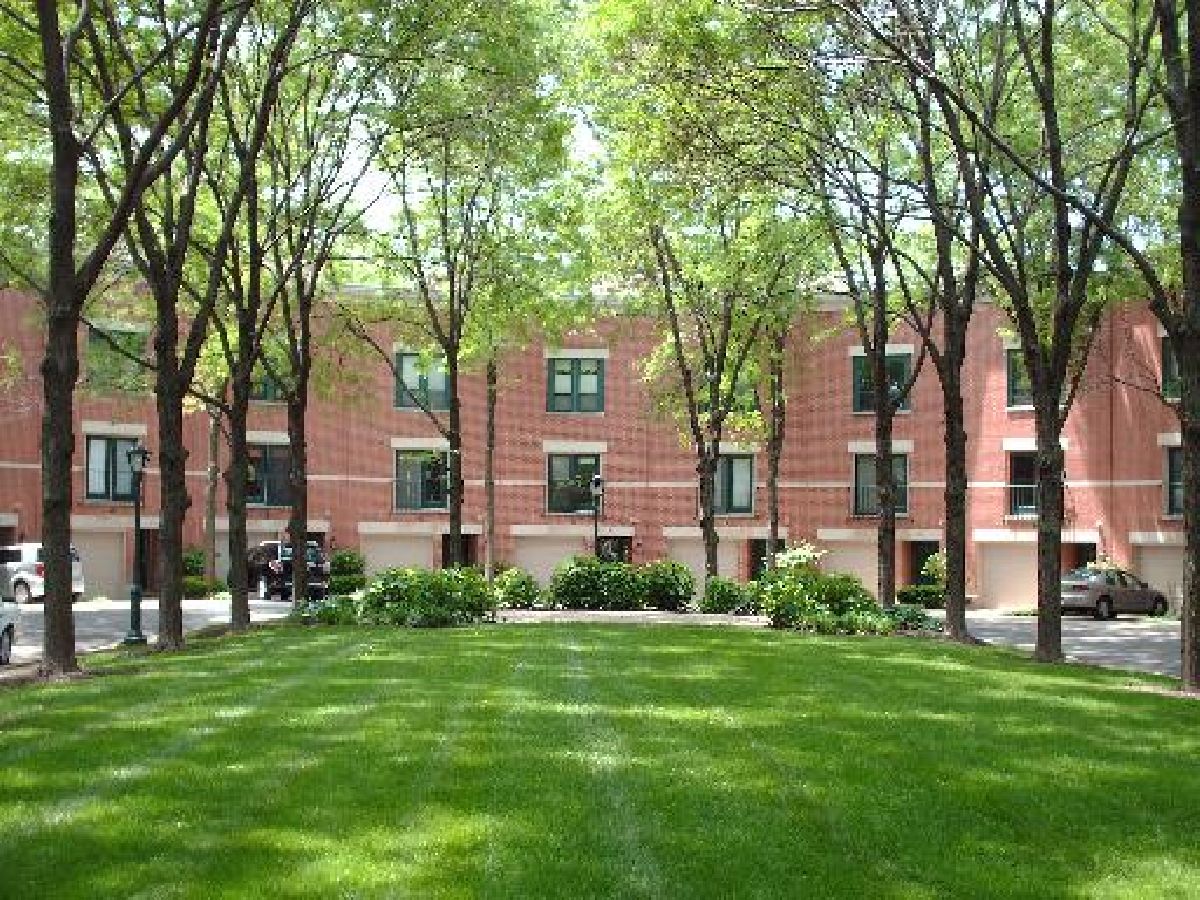 Townhomes & Condos & Homes Rented Garibaldi Square Chicago Illinois, 616 Laflin