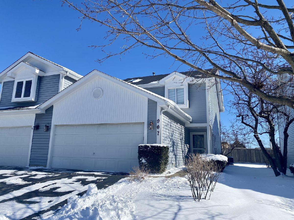 Townhomes & Condos Sold Carlton Court Westmont Illinois, 907 Lauren