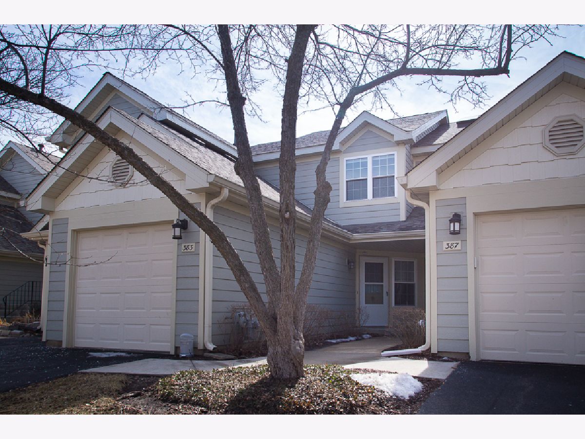 Townhomes & Condos Rented Hamilton Creek Palatine Illinois, 383 Hamilton