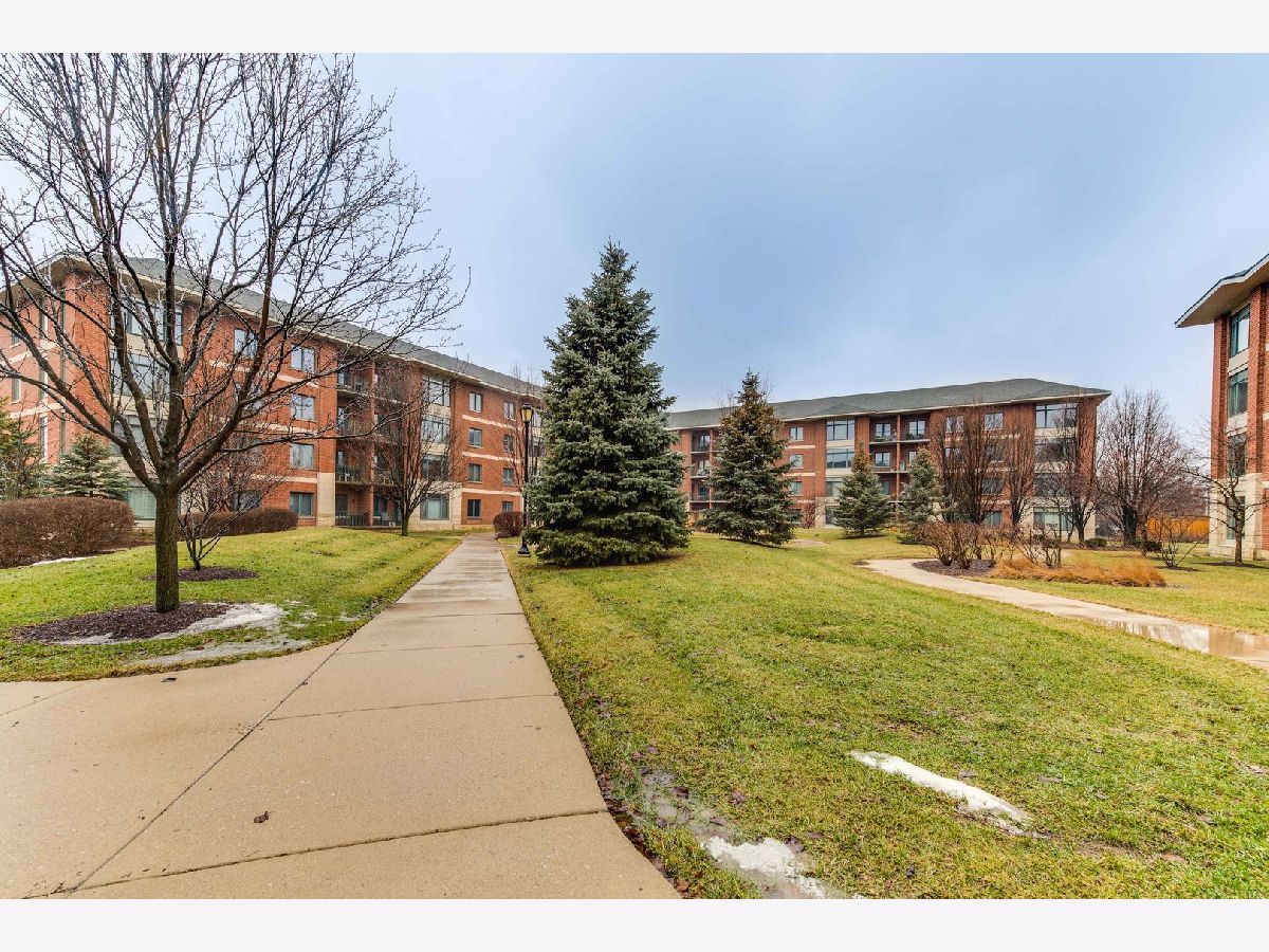 Fountain Square Lombard IL, Condominiums For Sale & For Rent Sadie