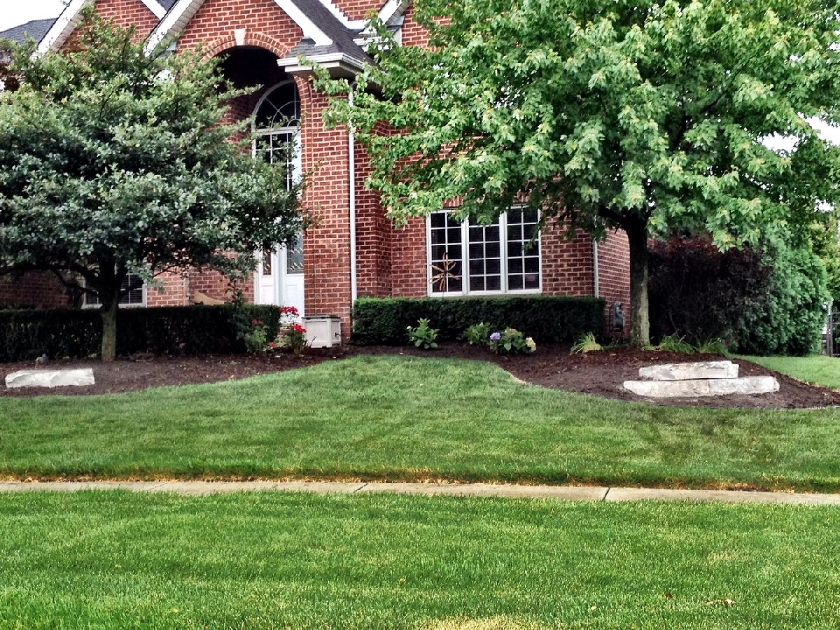 Homes Sold Walker Country Estates New Lenox Illinois, 642 Juli