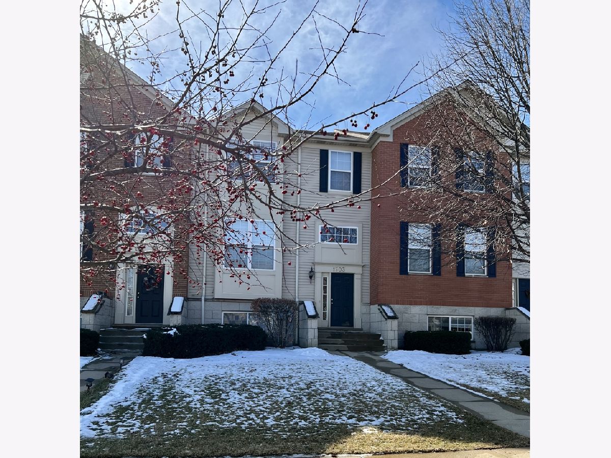 Townhomes & Homes Rented Castle Creek Bartlett Illinois, 1603 Edinburgh